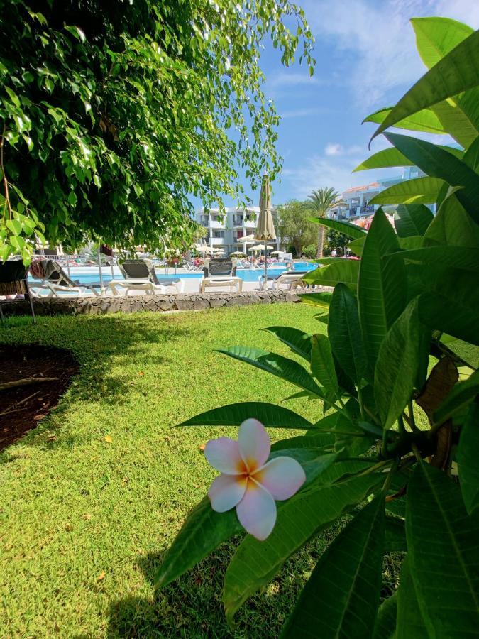 Private Apartment 150 Hg Tenerife Sur Los Cristianos  Dış mekan fotoğraf